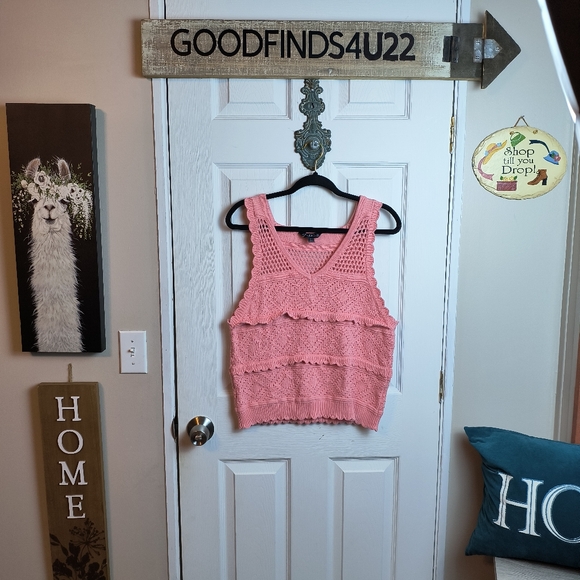 Pink Knit open weave Crochet Eyelet Scalloped Textured Sweater Tank Top Vest L - Picture 1 of 9